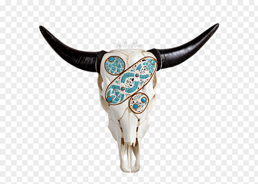 Skull Texas Longhorn Clip Art Antler PNG