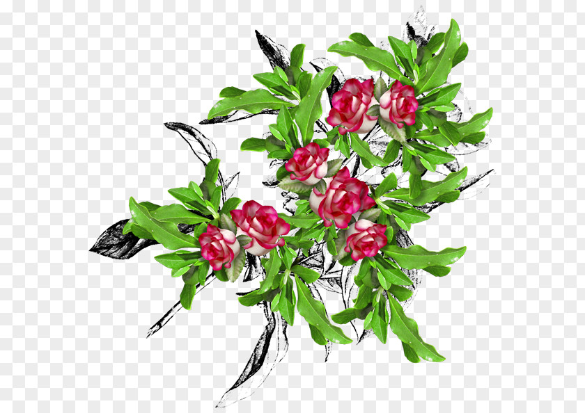 Flower Floral Design Bouquet Painting Clip Art PNG