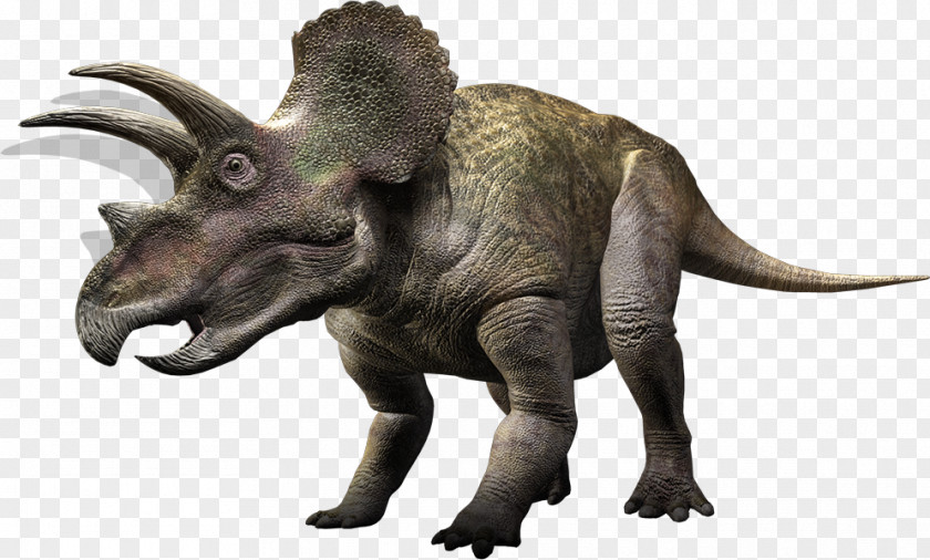 Jurassic World Torosaurus Triceratops Ceratopsia Tyrannosaurus Styracosaurus PNG