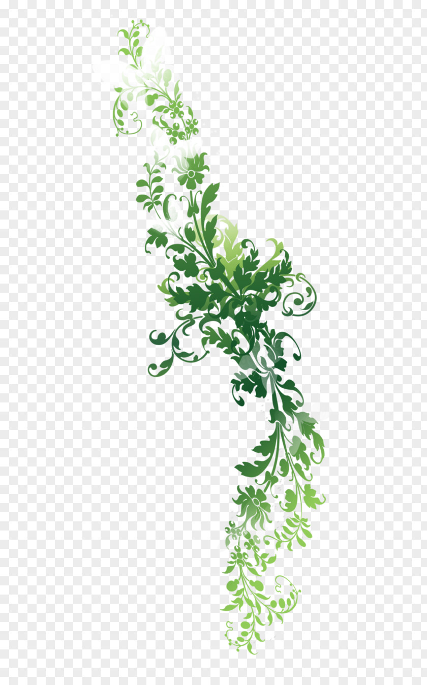 Nature Flower Desktop Wallpaper Clip Art PNG