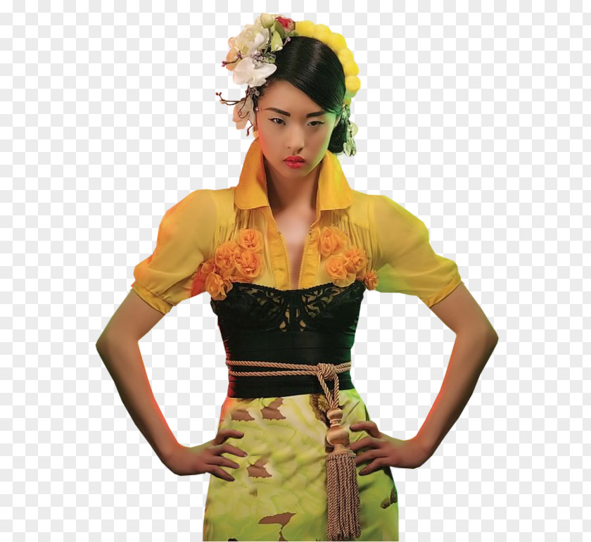 Oriental Woman Female Uchikake PNG