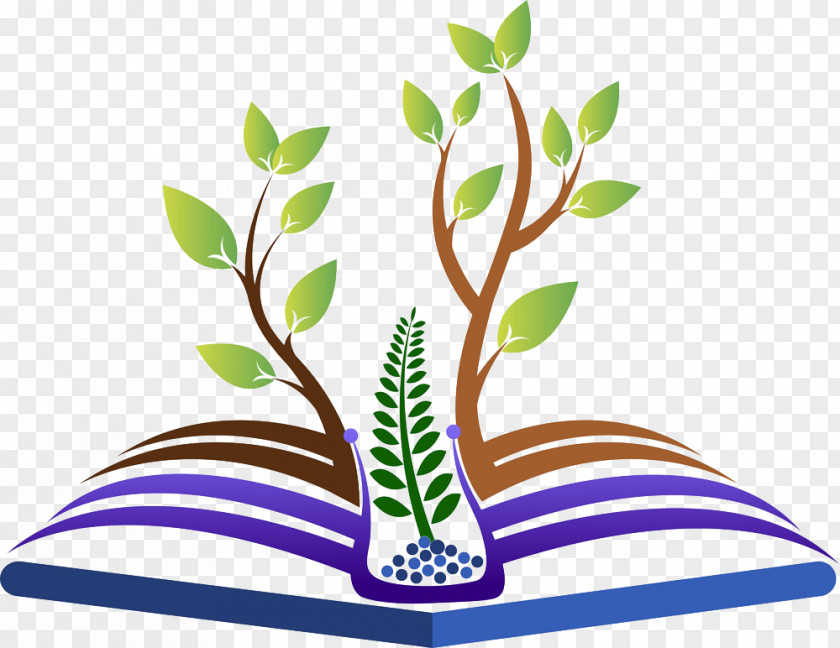 Tree Logo Branch PNG