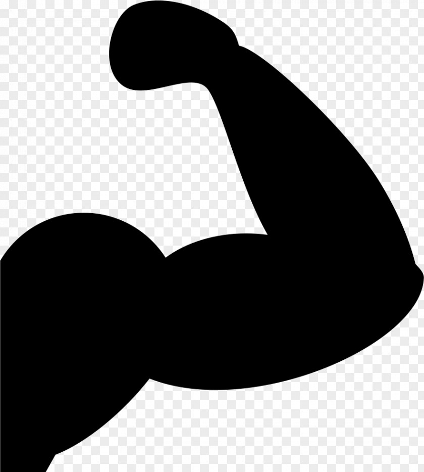 Arm Muscle Biceps PNG