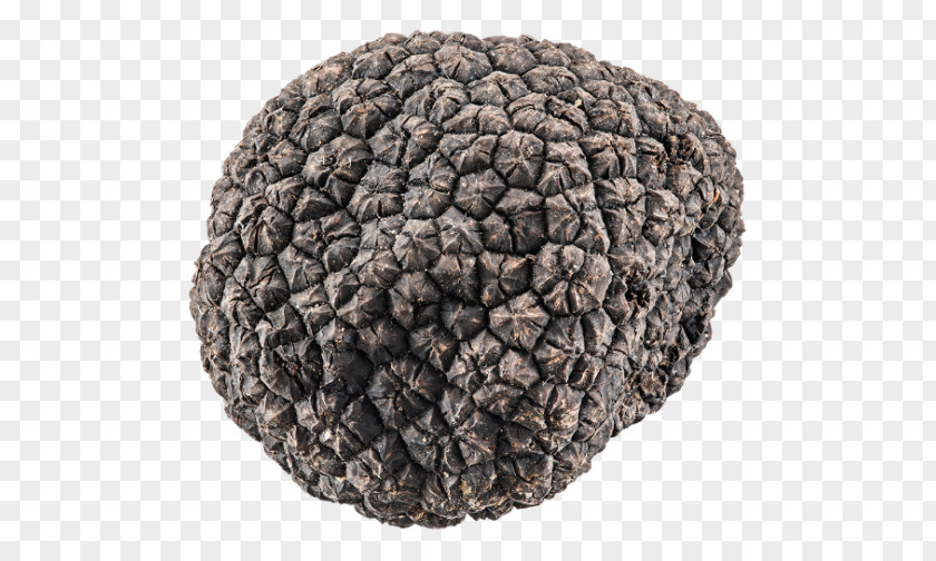 Black Truffle Wool PNG