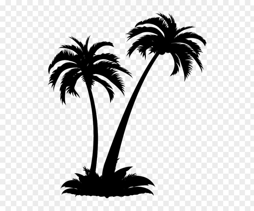 Coconut Jelly WordCamp US Arecaceae Sticker Wall Decal PNG