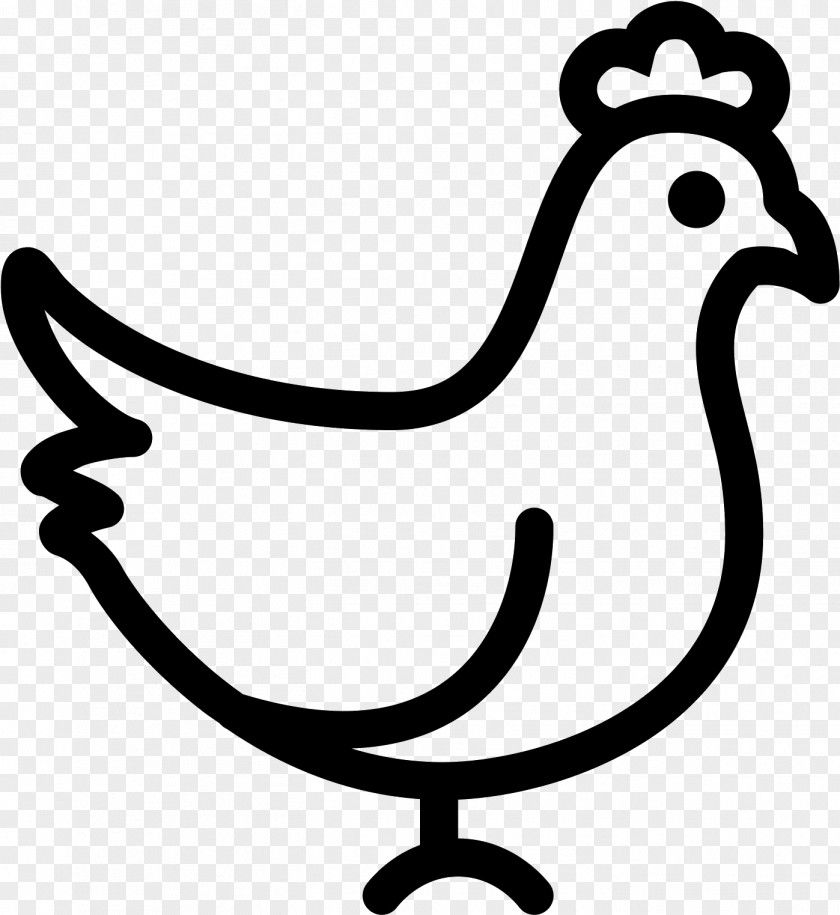 Livestock Blackandwhite Rooster Chicken Bird Beak Coloring Book PNG