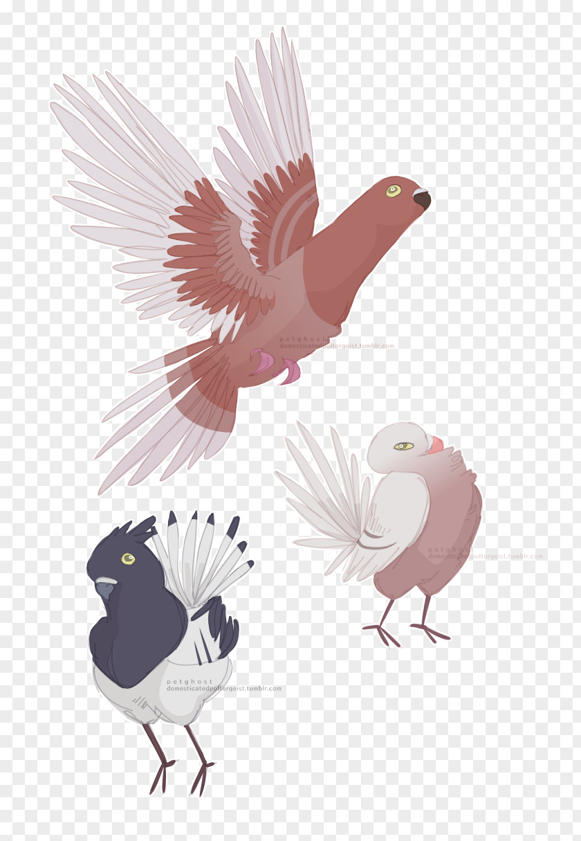 Pigeon Sprite Art Hiveswap Columbidae Never Coming Back Home PNG