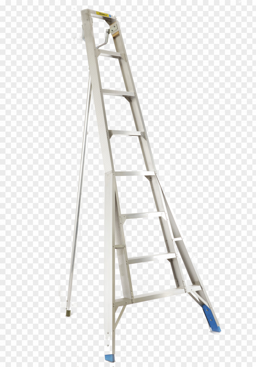 Pool Ladder PNG