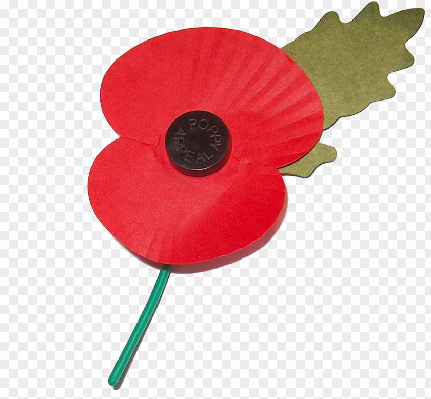 Poppy In Flanders Fields First World War Remembrance Armistice Day PNG