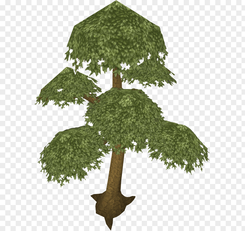 RuneScape English Yew Quest Tree Wiki PNG