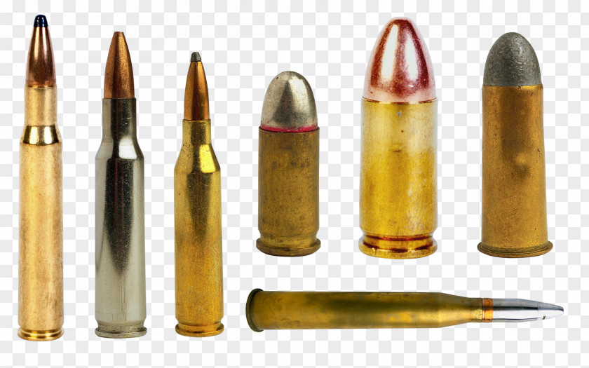 Bullet Cartridge PNG
