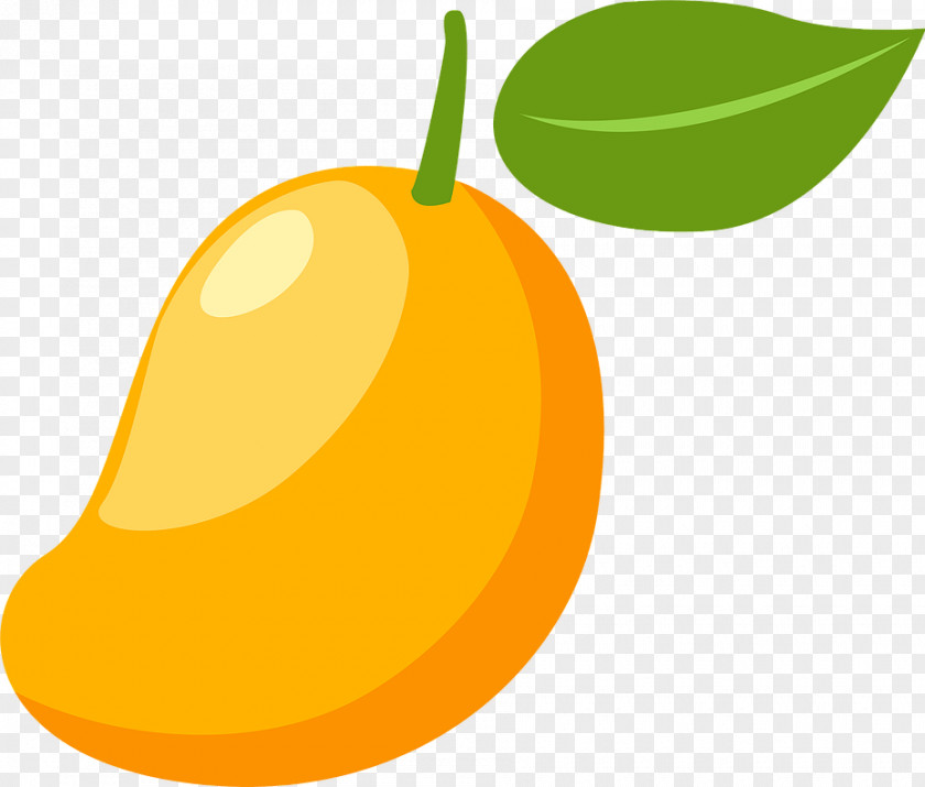 Cartoon Mango Mangifera Indica Clip Art PNG