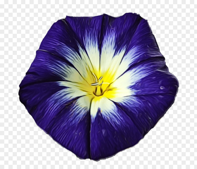 Flower Purple Violet Petal Plant PNG