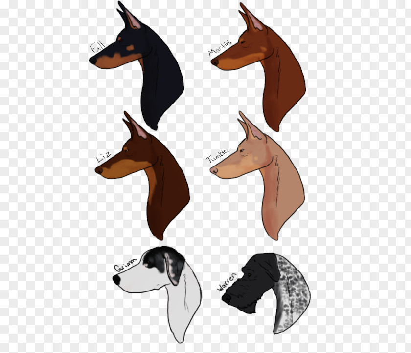 Horse Italian Greyhound Clip Art PNG