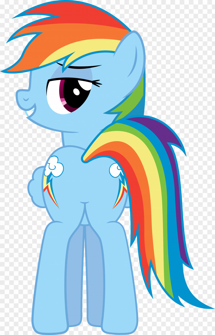 Liberation Rainbow Dash Pinkie Pie Twilight Sparkle Rarity Pony PNG
