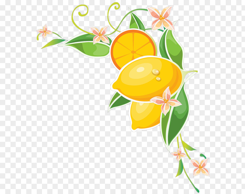 Mango Clipart Lemon Juice Clip Art PNG