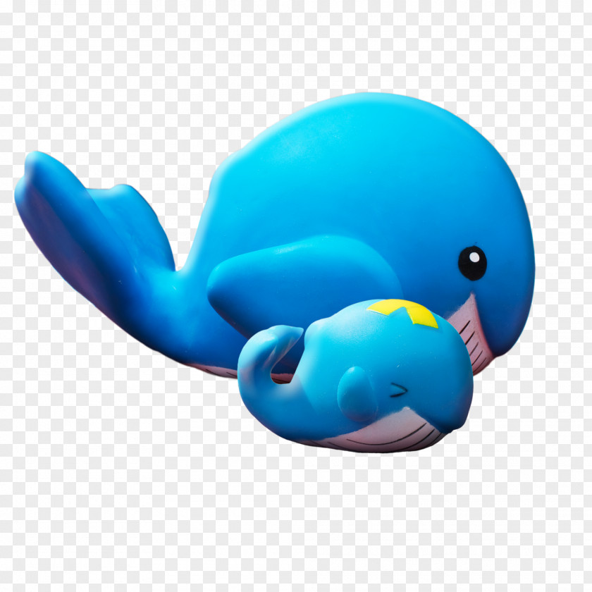 Pretty Cartoon Whale Dolphin Right Whales PNG