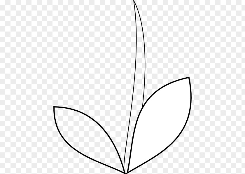 Angle Line Art Point Leaf Clip PNG