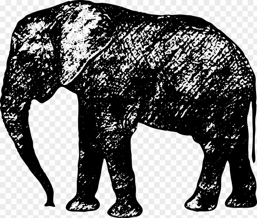 Elephant Vector African Indian Silhouette Sticker PNG