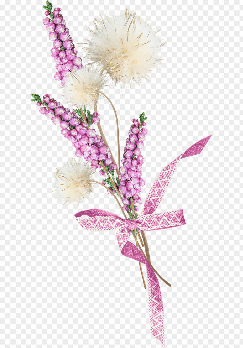 Flower Wildflower Birth PNG