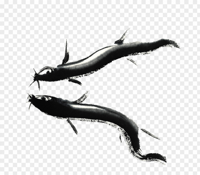 Ink Fish Misgurnus Mizolepis Wash Painting Chueo-tang PNG