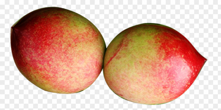 Peach Fruit PNG