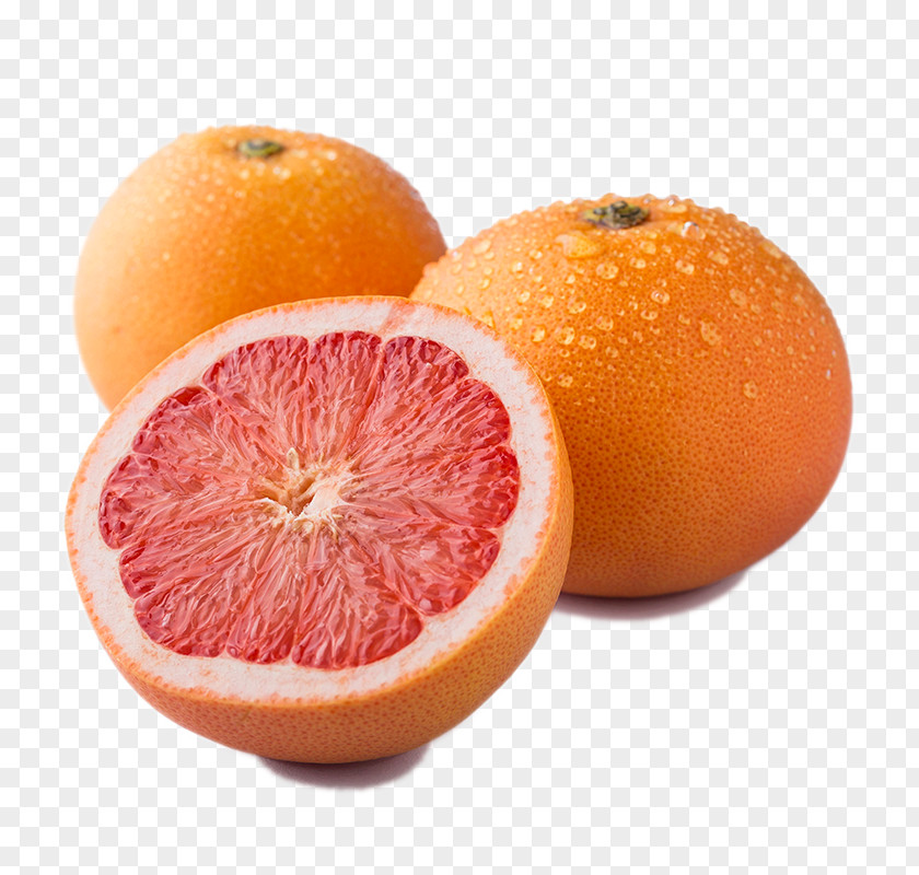 Three Grapefruit Blood Orange Tangelo Tangerine Rangpur PNG