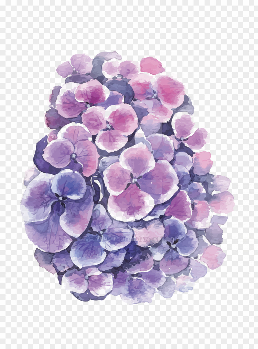 Vector Hydrangea Flower PNG