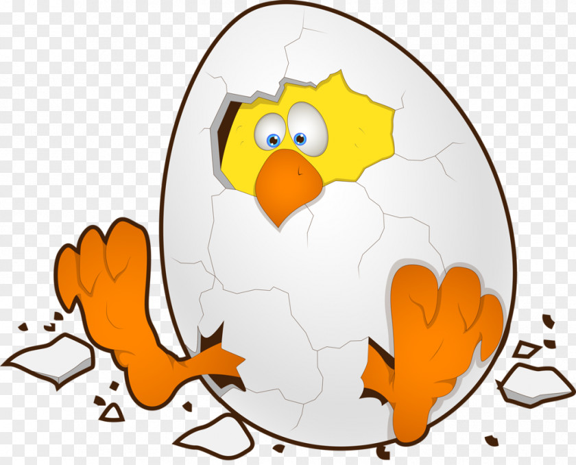 Chicken Easter Egg Cartoon PNG