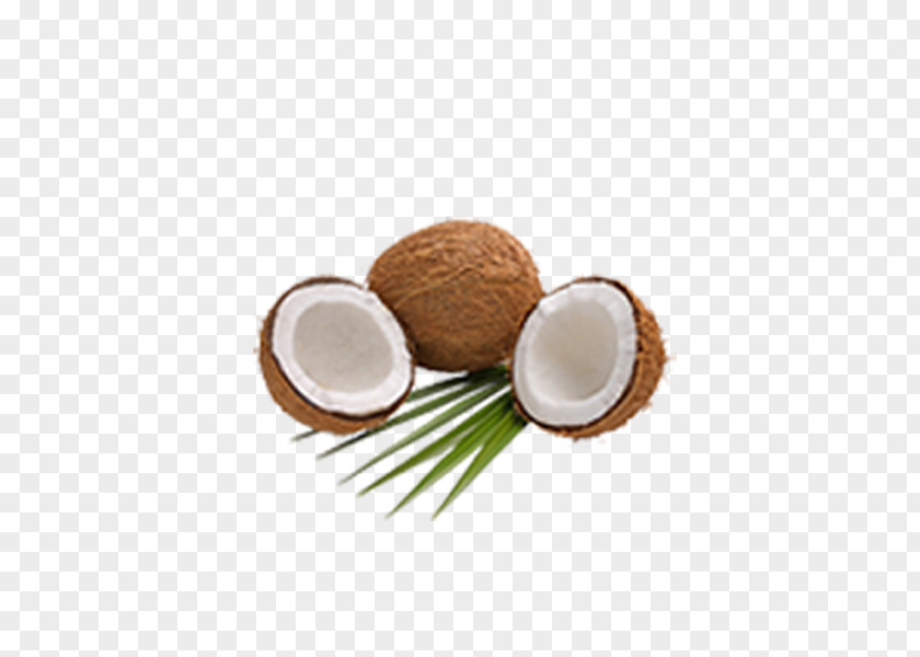 Coconut Organic Food Oil Milk Powder PNG