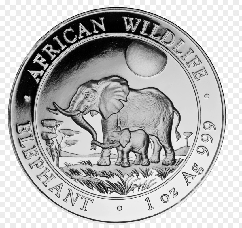 Coin Indian Elephant Silver African Elephantidae PNG
