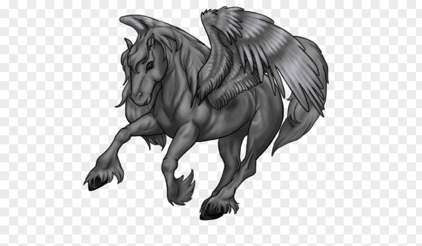 Friesian Streamer Unicorn Mustang Sketch Legendary Creature Image PNG