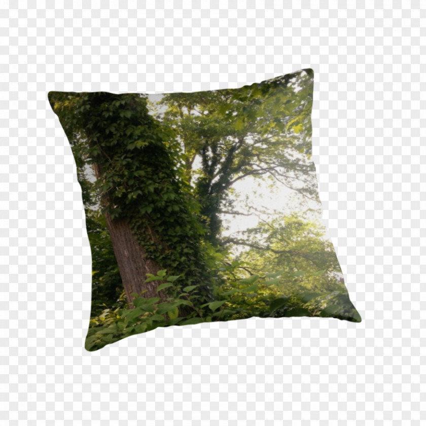 Green Pillow Throw Pillows Cushion Tree PNG