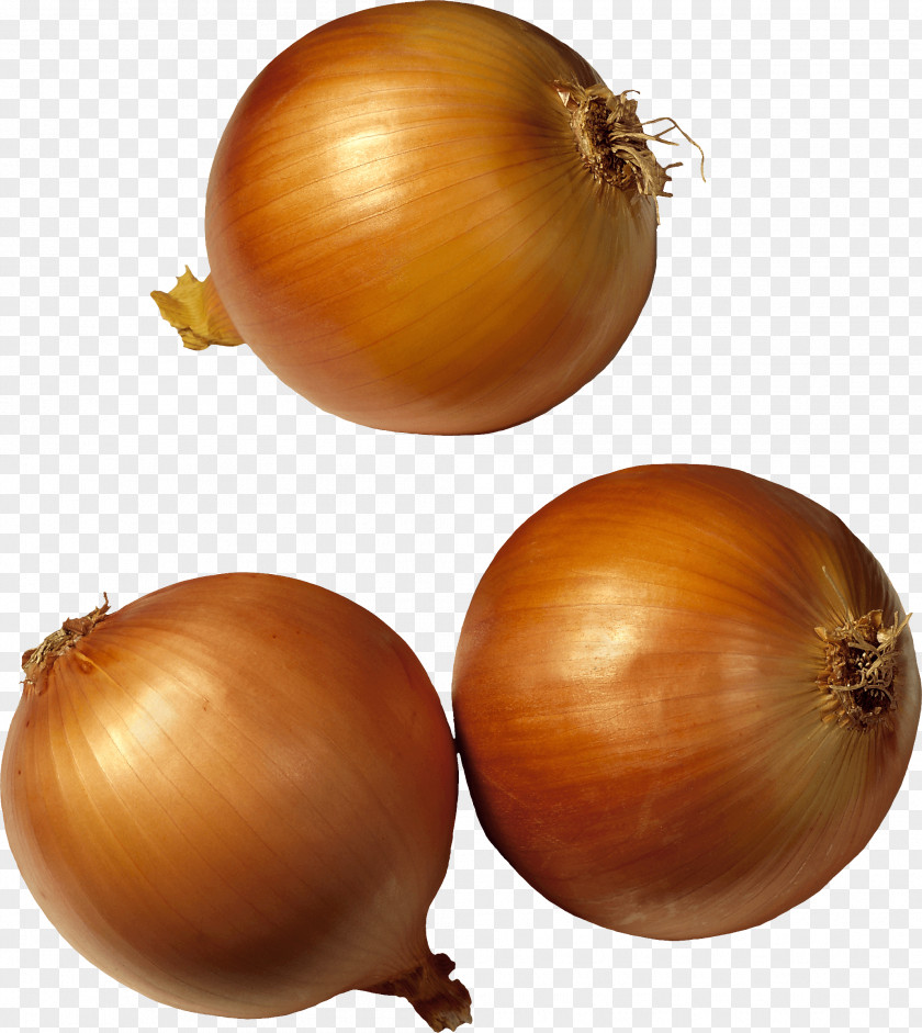 Onion Image Potato Shallot Vegetable PNG