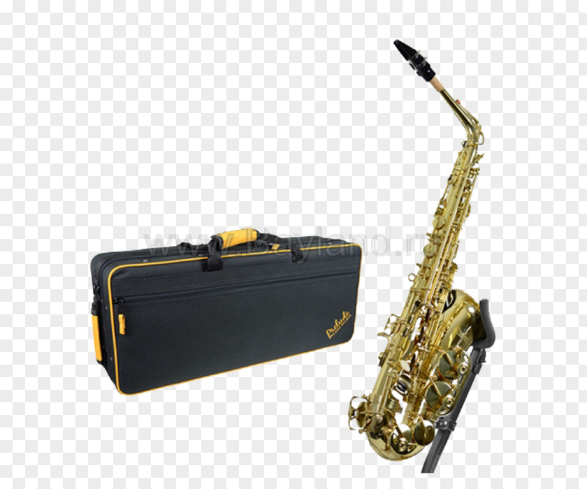 Saxophone Clarinet Family Tenor Alto PNG