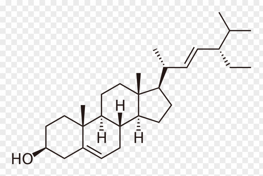 Sea Cucumber Phytosterol Cholesterol Stigmasterol Steroid PNG