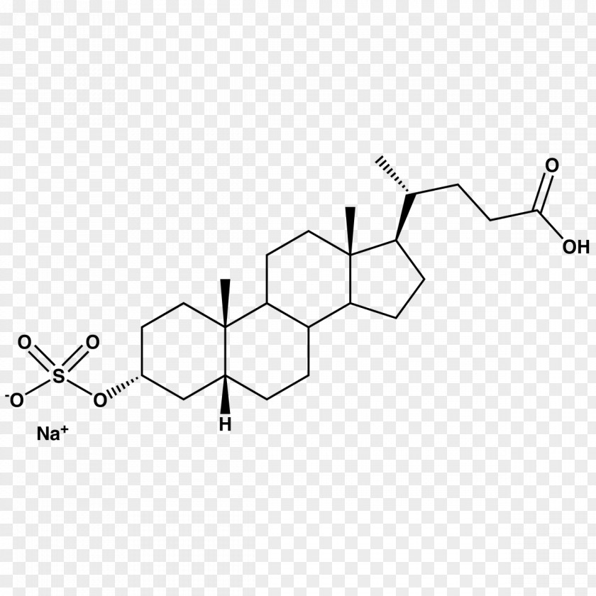 Sodium Sulfate Bile Acid Anabolic Steroid Cholic Ursodiol PNG