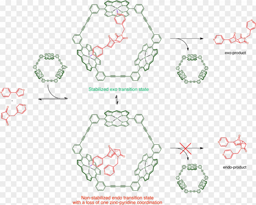 Design Art Body Jewellery Pattern PNG