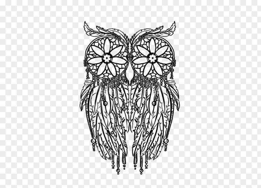 Dreamcatcher More Eclectic Owls: An Adult Coloring Book Mandala PNG