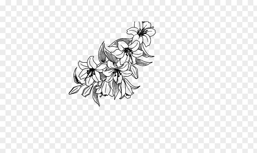 Lotus Border Floral Design DeviantArt Flower PNG