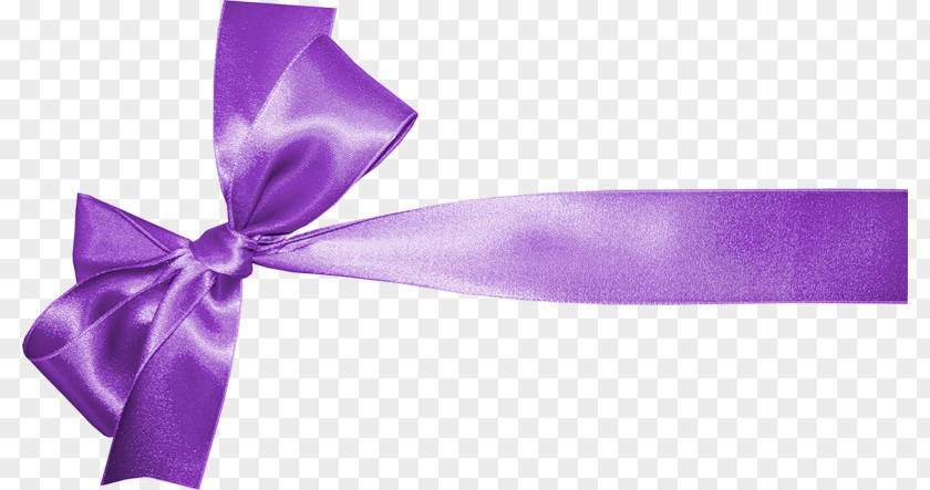 Violet Eflatun Kurdele Purple PNG