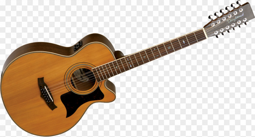 Acoustic Guitar Acoustic-electric Bass Tiple PNG