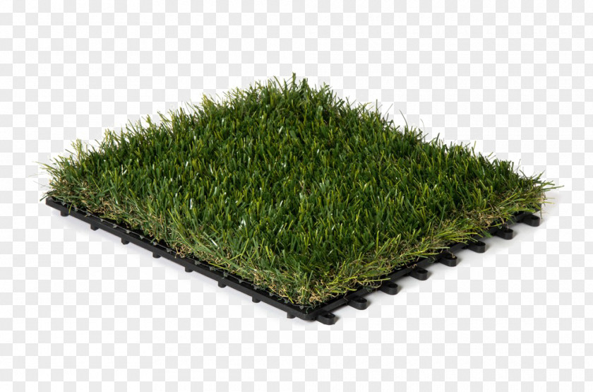 Carpet Artificial Turf Lawn Tile Gardening Yard PNG