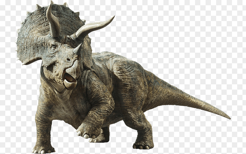 Dinosaur Triceratops Brachiosaurus Gallimimus Stegosaurus Tyrannosaurus PNG