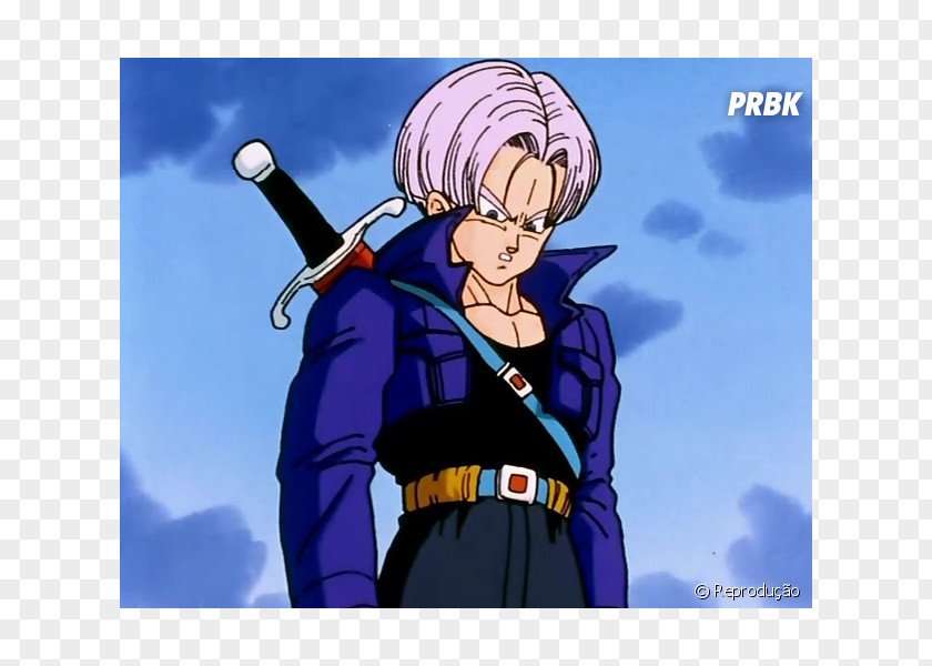 Goku Trunks Bulma Gohan Vegeta PNG