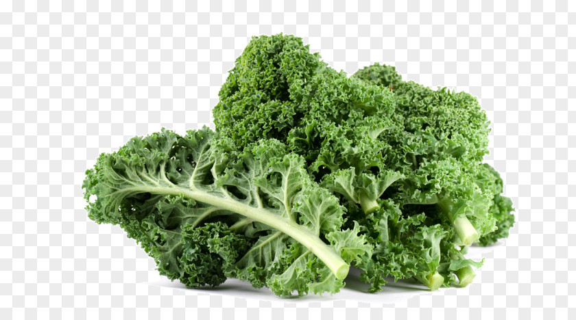 Leaf Vegetable Food Plant Broccoli PNG