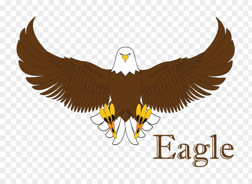 Statue Of Liberty Bald Eagle Logo Beak PNG