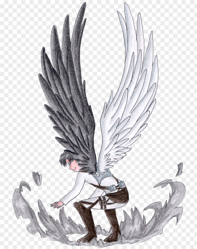 Wings Of Freedom Drawing Counting Stars Feather Bird PNG