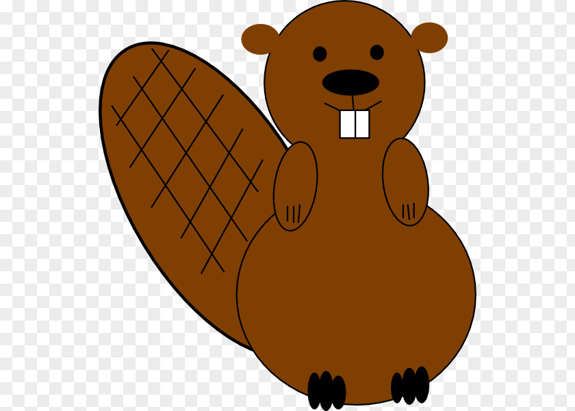 Beaver Clip Art PNG