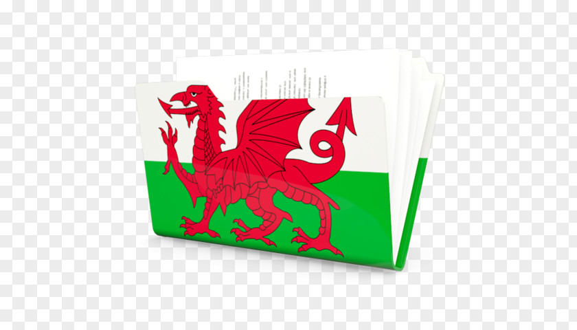 Flag Of Wales Welsh Dragon People Cushion PNG
